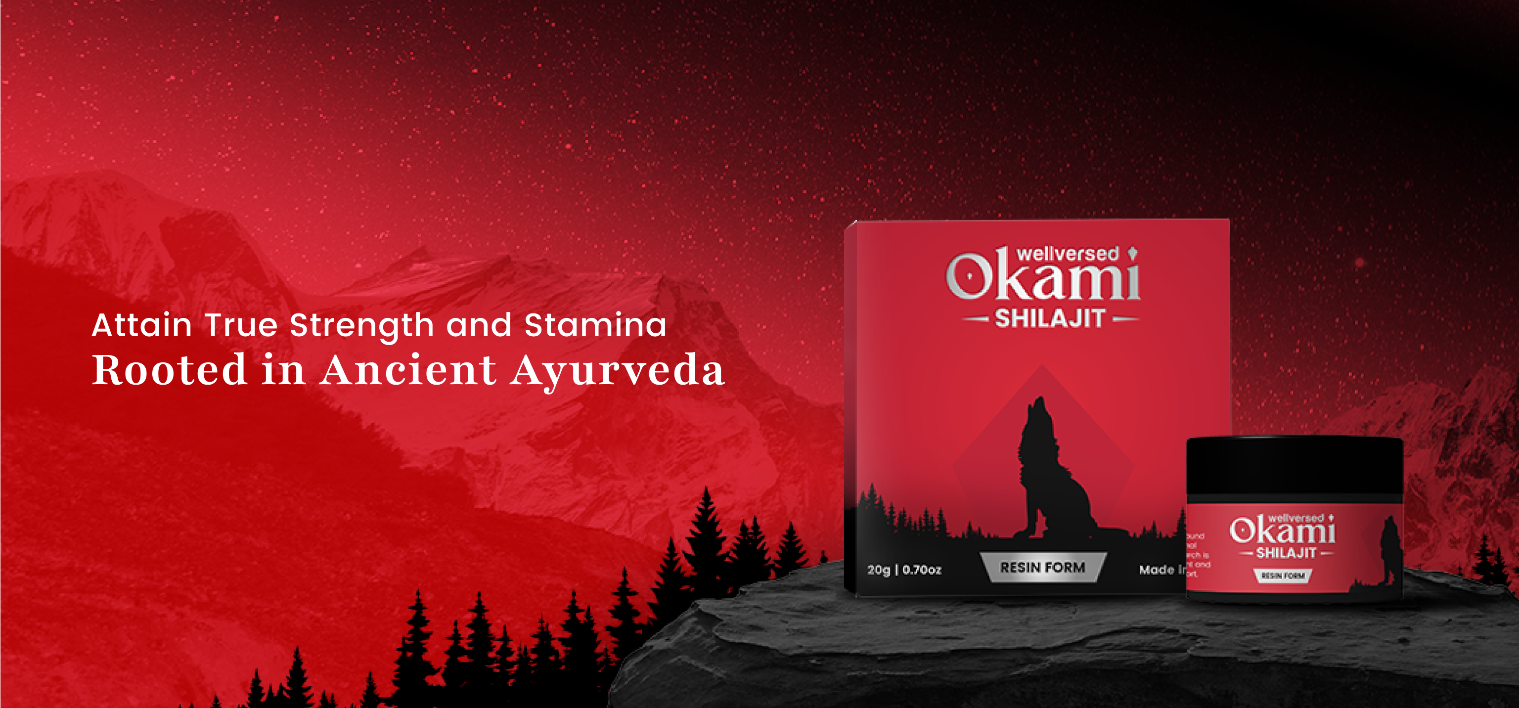 Shilajit Resin